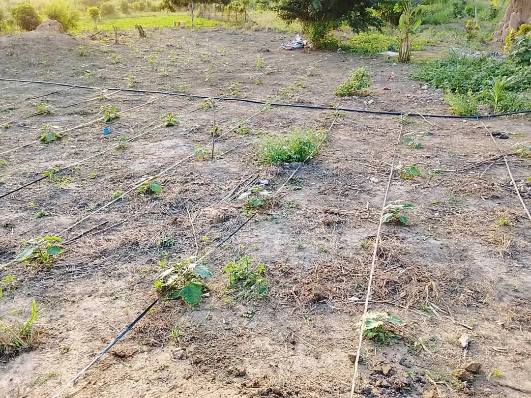 Goutte à goutte
