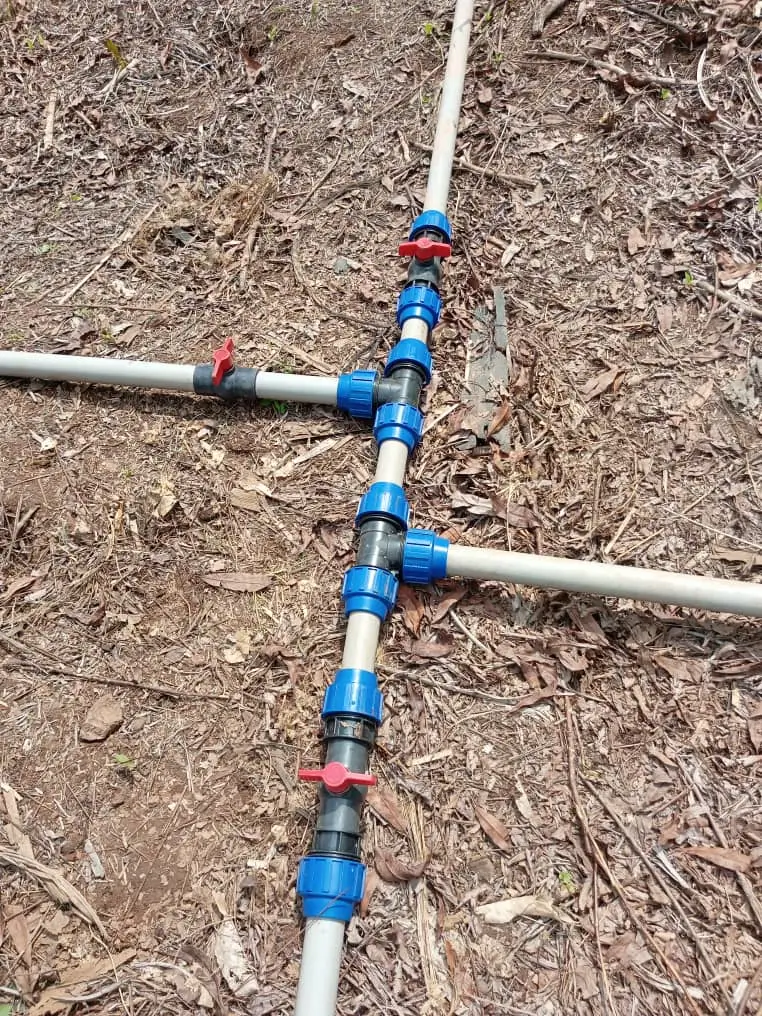 Irrigation goutte à goutte — Entreprise BEEDA