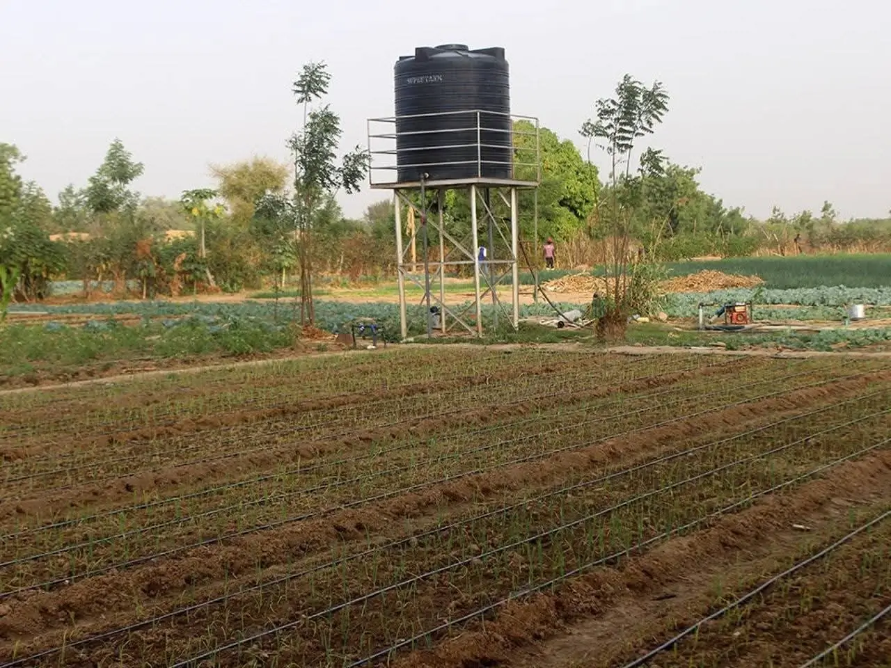 Irrigation